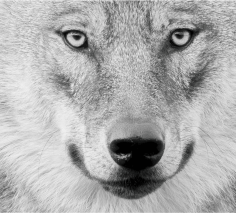 Découvrez la liste des conférences