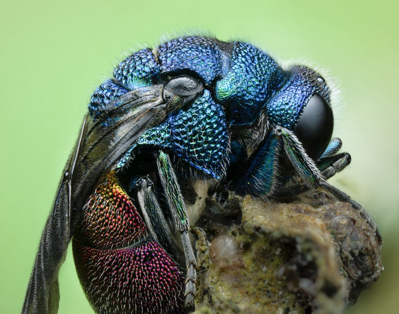 Exposition Lucian Métivier