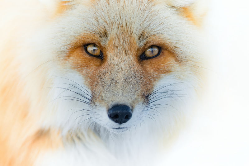 Exposition de Joël Brunet et Laurence Terminet